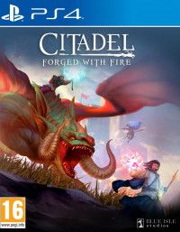  Citadel: Forget With Fire (PS4) PS4