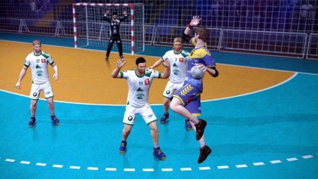 IHF Handball Challenge 17 Box (PC) 