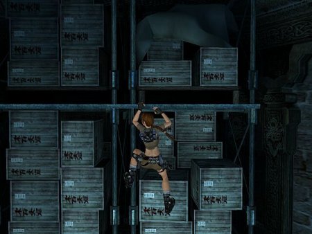 Lara Croft Tomb Raider: Legend () Jewel (PC) 