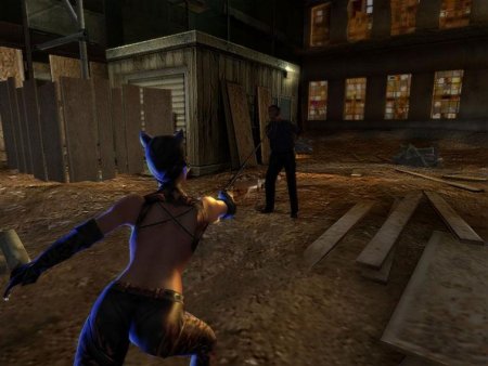Catwoman Box (PC) 