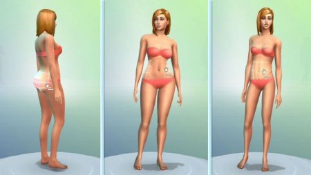 The Sims 4   .    Box (PC) 