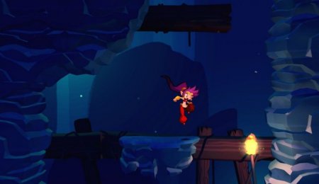 Shantae: Half-Genie Hero Box (PC) 
