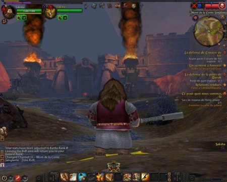 Warhammer Online:     Box (PC) 