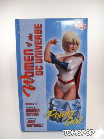  Women Of The DC Universe Series 3 Power Girl Bust 5.5 