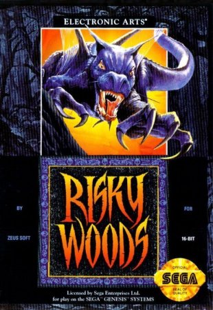Risky Woods (16 bit) 