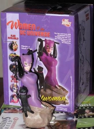  - Women Of The DC Universe Series 3 Catwoman Bust 5.5 