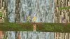 Игра Secret of Mana Русская Версия (PS4) Playstation 4