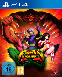 Fight'n Rage: 5th Anniversary Ограниченное издание (Limited Edition) (PS4)