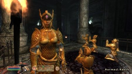 The Elder Scrolls 4 (IV): Oblivion 5th Anniversary Edition (Xbox 360/Xbox One) USED Б/У