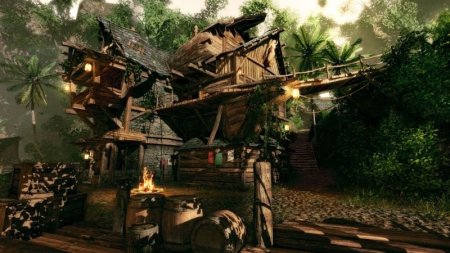 Risen 2 Темные воды (Dark Waters) Коллекционное издание (Collector’s Edition) (Xbox 360/Xbox One)