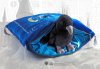  Мягкая игрушка The Noble Collection: Талисман Когтеврана "Ворон" (Ravenclaw Mascot "Raven") Гарри Поттер (Harry Potter) 22 см + Подушка 34 см