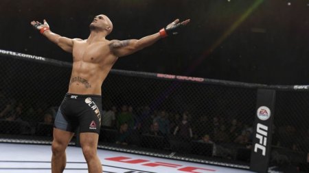  EA Sports UFC 2 (PS4) USED / Playstation 4