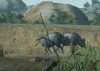 Cabela's Dangerous Adventures (Xbox 360)