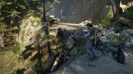    (Days Gone)   (PS4) Playstation 4