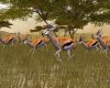 Cabela's African Safari (Xbox 360)