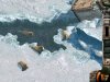 Commandos 2: Men Of Courage Box (PC) 