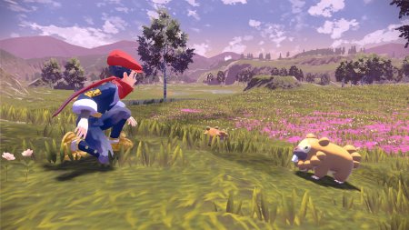 игра Pokemon Legends: Arceus (Switch) USED Б/У для Nintendo Switch