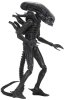  NECA:  (Xenomorph) ̆ 40-  3 (Alien 40th Anniversary Assortment 3) (51702 (51705)) 18 