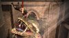 Купить игру Conan (Конан) (PS3) для Sony Playstation 3