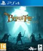 The Bard's Tale IV (4): Director's Cut Русская Версия (PS4)