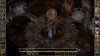 Baldur's Gate 2 (II): Enhanced Edition (PC) 
