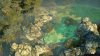 Shadow Tactics : Blades of the Shogun Box (PC) 