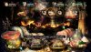 Игра Dragon's Crown Pro (PS4) USED Б/У Playstation 4