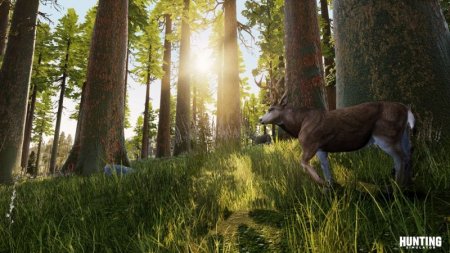  Hunting Simulator (PS4) Playstation 4
