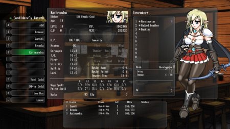 игра Wizardry: The Five Ordeals (Switch) для Nintendo Switch