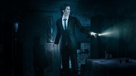 Игра Fatal Frame: Mask of the Lunar Eclipse (PS4/PS5) Playstation 4