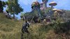 Игра The Elder Scrolls Online: Morrowind Коллекционное издание (PS4) Playstation 4
