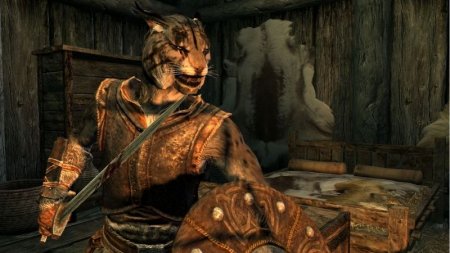 The Elder Scrolls 5 (V): Skyrim (Xbox 360) USED /