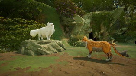 Warrior Cats: Clans of the Forest Feral Edition (PS5)