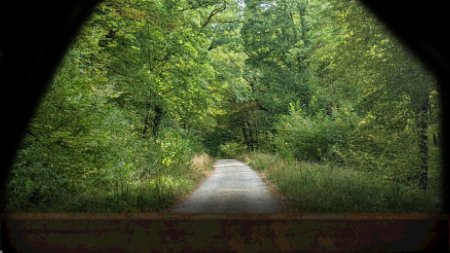 игра Conscript Deluxe Edition Русская Версия (Switch) для Nintendo Switch