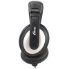 Гарнитура RITMIX RH-514M (PC)