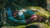 Unravel Yarny Bundle (Unravel 1 и 2 часть) (Xbox One) 