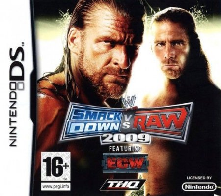  WWE SmackDown vs Raw 2009 (DS)  Nintendo DS