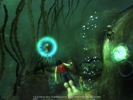      (Harry Potter and the Goblet of Fire) Platinum (PS2)