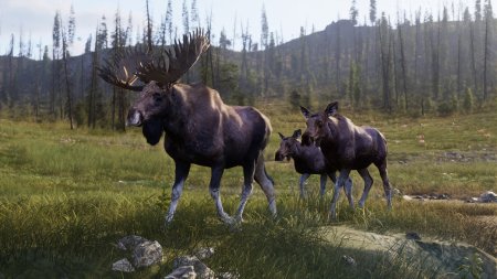 Way of the Hunter 2 Русская Версия (PS5)