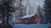 Игра Life is Strange 2 Русская Версия (PS4) Playstation 4