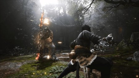 Black Myth: Wukong Deluxe Edition Русская Версия (PS5)