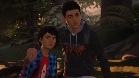Игра Life is Strange 2 Коллекционное издание (Collector’s Edition) Русская Версия (PS4) Playstation 4