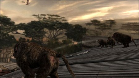 Cabela's Dangerous Hunts 2011 (Xbox 360)
