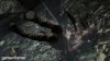 Tomb Raider (Xbox 360)