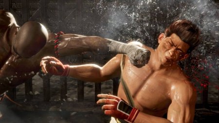 Игра Dead or Alive 6 (VI) Русская Версия (PS4) Playstation 4