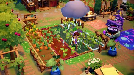 игра Fae Farm (Switch) для Nintendo Switch