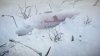 Игра Impact Winter (PS4) Playstation 4