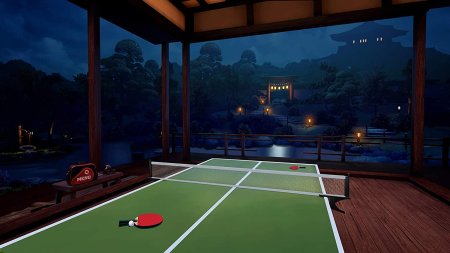 Игра VR Ping Pong Pro (Только для PS VR) (PS4) Playstation 4