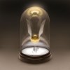   Paladone:   (Harry Potter)      (Bell Jar Light Golden Snitch) 20 