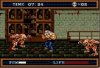 Сплаттерхаус 3 (Splatterhouse 3) (16 bit) 